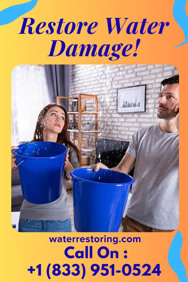 water restoration Stellar Restoration Solutions Pros Brenton